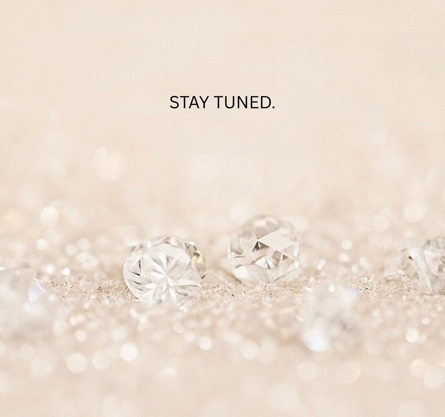 Digital Line Portraits with  Mixed Sparkles